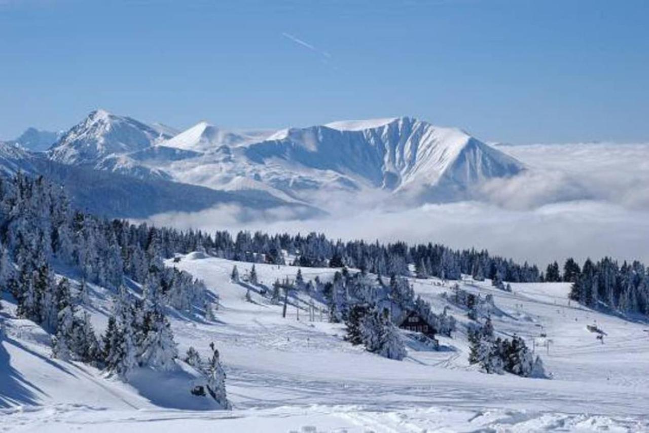 Charmant Studio Cabine Cocoon A 100 M Des Pistes 샴루스 외부 사진