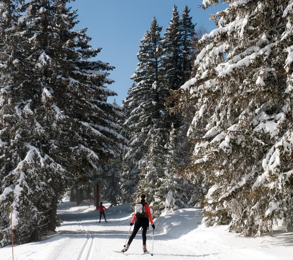 Charmant Studio Cabine Cocoon A 100 M Des Pistes 샴루스 외부 사진